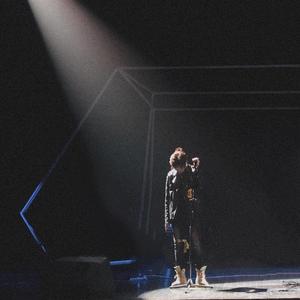 梁朝伟汤唯国外版
