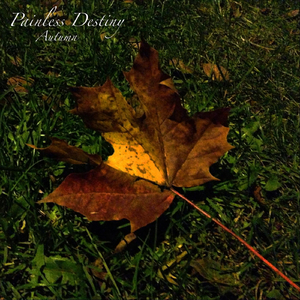 梁朝伟汤唯国外版
